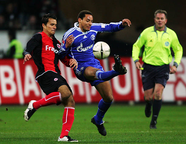 力的高度评 力的高度评